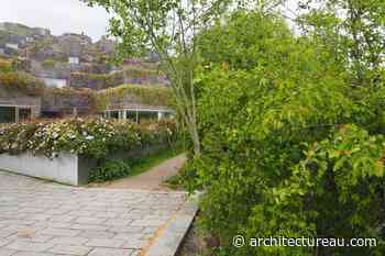 Together by Design: The Art and Architecture of Communal Living