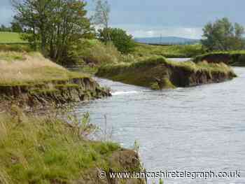 Ribble Rivers Trust to receive £25m share for flood defence