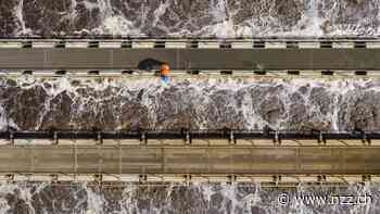 «Eine gute Firma, aber etwas ausser Form»: Suzanne Thoma will Sulzer noch fitter machen – der Grundstein ist gelegt