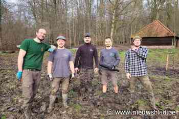 Regio krijgt er meer dan 15.000 bomen bij