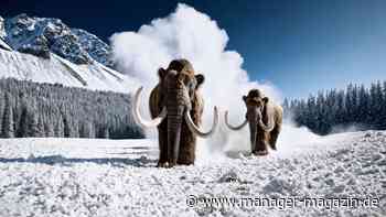 Künstliche Intelligenz: Wieso Start-ups bei KI eine Chance gegen Microsoft, Google und Co. haben