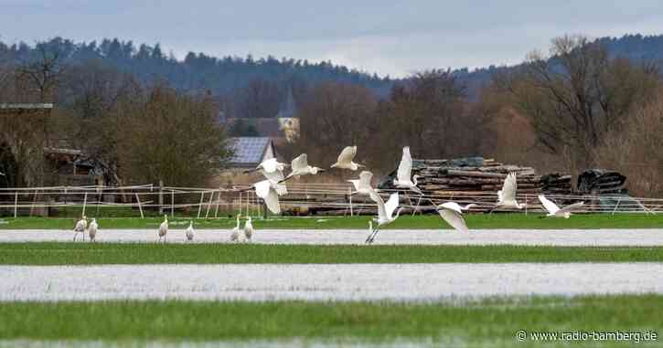 Etwas kühler, aber weiter mild: Das Wetter am Wochenende