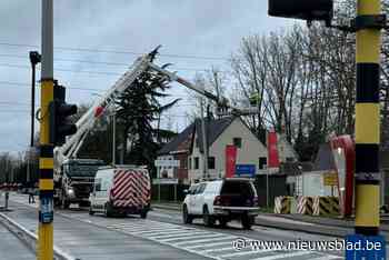 Hoogspanningskabels worden geknipt: N9 nog enkele uren afgesloten