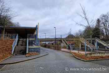 De mobiele herstelservice van het Fietspunt in de Antwerpse zuidrand trekt er steeds meer op uit