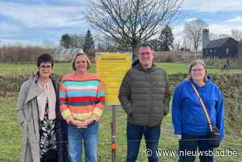 Buurtcomité plant acties tegen 39 extra woningen: “We zijn niet tegen nieuwe verkaveling, maar hou wel rekening met ons”