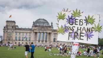 Cannabis: Bundestag beschließt kontrollierte Freigabe