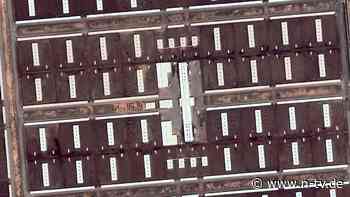 Zehntausende Kühe im Megastall: Holsteiner produzieren Milch in der saudischen Wüste