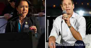 Rep. Victoria Neave Criado launched a surprise bid against fellow Democrat Sen. Nathan Johnson. Here’s why she did it.