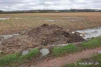 Windrad und Photovoltaik am Autobahnkreuz Münster-Süd?