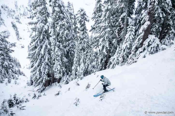 Review: DPS Koala 111