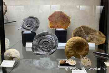 Fans van mineralen en edelstenen kunnen dit weekend terecht in Kinepolis