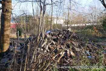 Schwarzbau-Siedlung in Löhne ist immer noch vermüllt