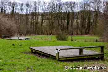 Waterdraakje en fluitende pad krijgen hulp in Haspengouw: “Risico op uitsterven verminderen”