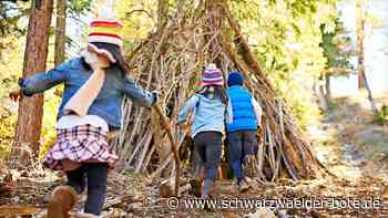 Betreuungsmöglichkeit in Calw: Es steht fest: Waldkindergarten kommt