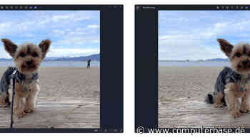 Generative-AI-Funktion: Windows Foto kann störende Objekte auf Bildern entfernen [Notiz]