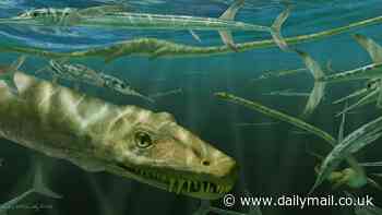 Scottish scientists discover 'very strange' fossilized 'Chinese dragon' that is 240 million years old