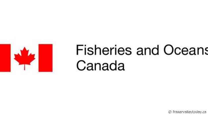 Man fined $250,000 for illegal prawn fishing in B.C. glass sponge refuge