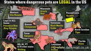The monsters next door: Map reveals where dangerous pets including White Rhinos, venomous Gila monsters and Kangaroos are being kept as PETS in the US