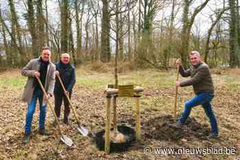 Vaantjesboom herdenkt overleden kinderen in het park Edelhof