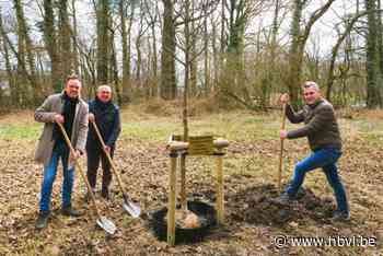 Vaantjesboom herdenkt overleden kinderen in het park Edelhof
