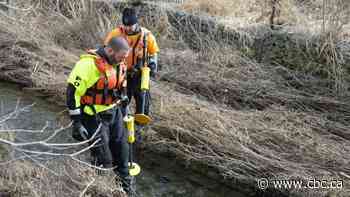 Police search for evidence in Toronto bus stop shootings in Hamilton green space