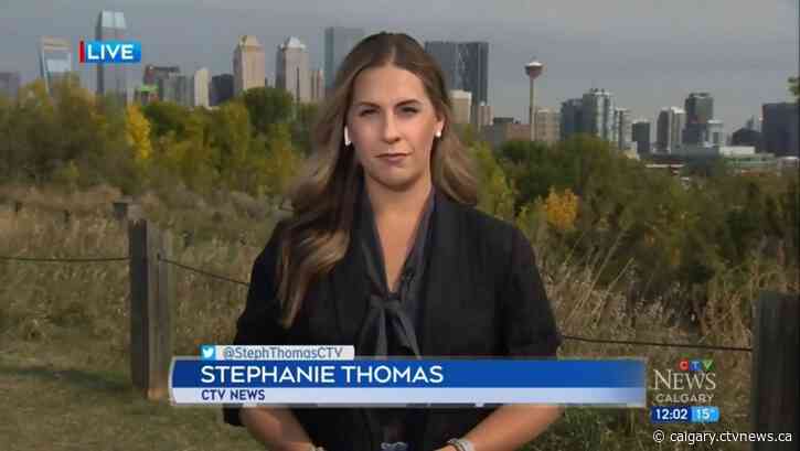 A little bit pregnant: my journey from recurrent pregnancy loss to IVF