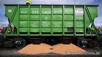 Polnische Bauernproteste gegen Getreideexport: Ukraines Regierungschef spricht mit Demonstranten