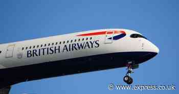 British Airways owner set to report record sales despite UK recession
