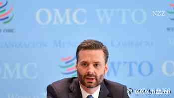 «Die Menschen haben heute die Erwartung, dass man sie vor der Globalisierung schützt. Es ist eine Art Vollkaskomentalität», sagt der Chefökonom der WTO