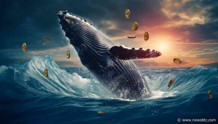 Crypto Whale Sells Ethereum (ETH) and Tether (USDT) for Exciting New Presale DeeStream (DST): What is their Secret?
