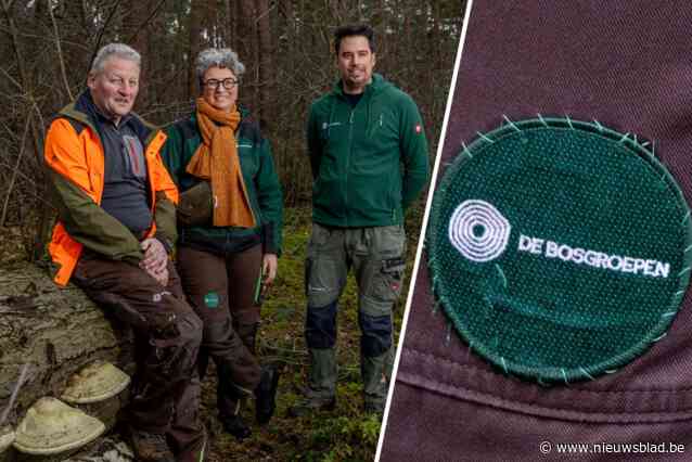 “Een bos heb je niet voor jezelf”: Bosgroepen helpen Sis en vijfduizend andere Kempense boseigenaars hun bomen de baas te blijven