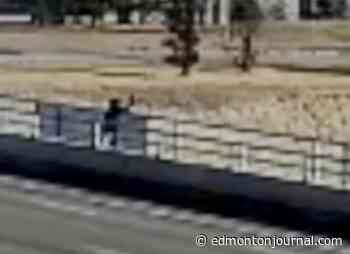Male caught on film throwing objects off Whitemud Drive overpass: Edmonton police