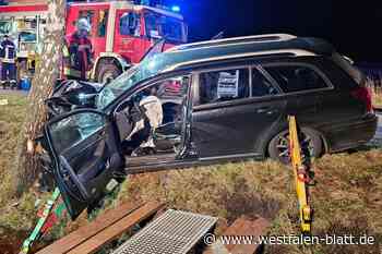 Kollision mit Baum – Fahrer muss aus dem Auto gerettet werden