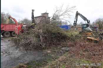 Am Alten Pulverschuppen fallen die ersten Bäume