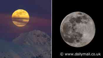 Full Snow Moon will light up skies around the world tonight - here's the best time to see the astronomical display