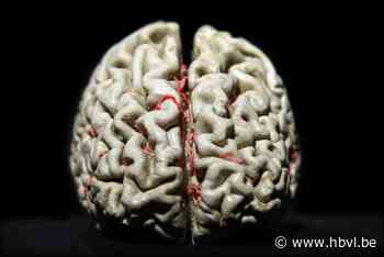 Maastrichts bedrijf claimt al jaren van tevoren te kunnen voorspellen of iemand alzheimer krijgt