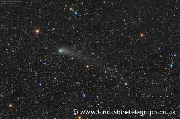 Scientists ask public for photos of comet without a tail