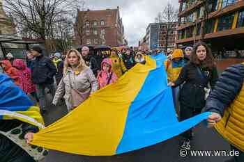 Demonstranten zeigen sich solidarisch mit den Menschen in der Ukraine