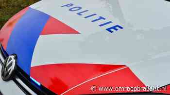 Automobilist raakt van de weg en overlijdt