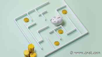 Going on a Financial Diet? Try One of These Savings Challenges     - CNET