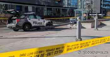 Toronto police officer sent to hospital after crashing into light pole