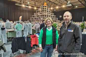 120 vrijwilligers bouwen ‘grootste snoeptaart ter wereld’: “Het wordt enorm spannend”