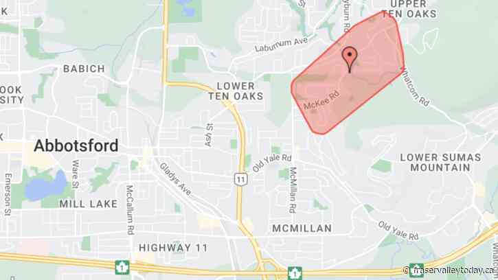 Motor vehicle accident cuts power to hundreds of Abbotsford residents Saturday