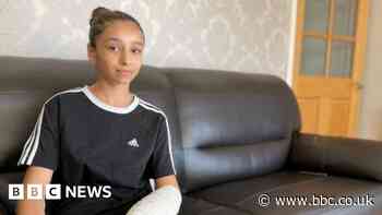 Man arrested after dog attack court case no-show