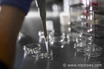 After Alabama IVF ruling, doctors warn that freezing embryos is essential for in vitro fertilization