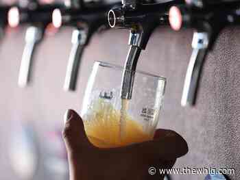 Kingston-area breweries feel provincial tax pressures ahead of scheduled federal tax increase