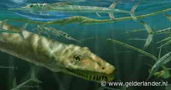 Onderzoekers ontdekken fossiel van 240 miljoen jaar oude ‘Chinese draak’