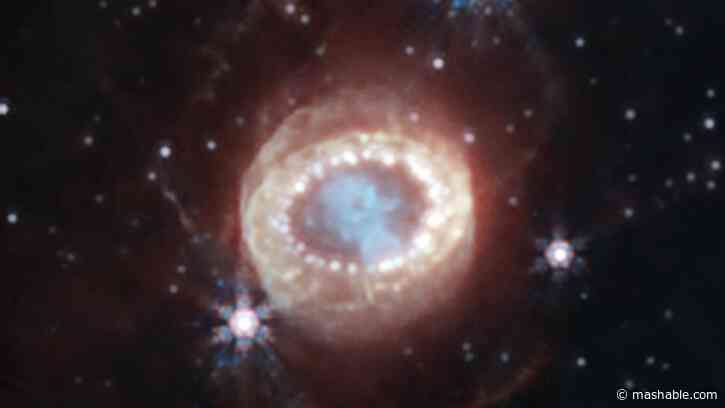 Webb telescope just found the holy grail in a famous supernova