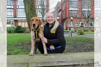 Wirral Globe dog of the week: Fantastic Fran needs you