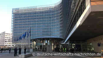 Der „Digital Services Act” - Regulierung mit Hintertür